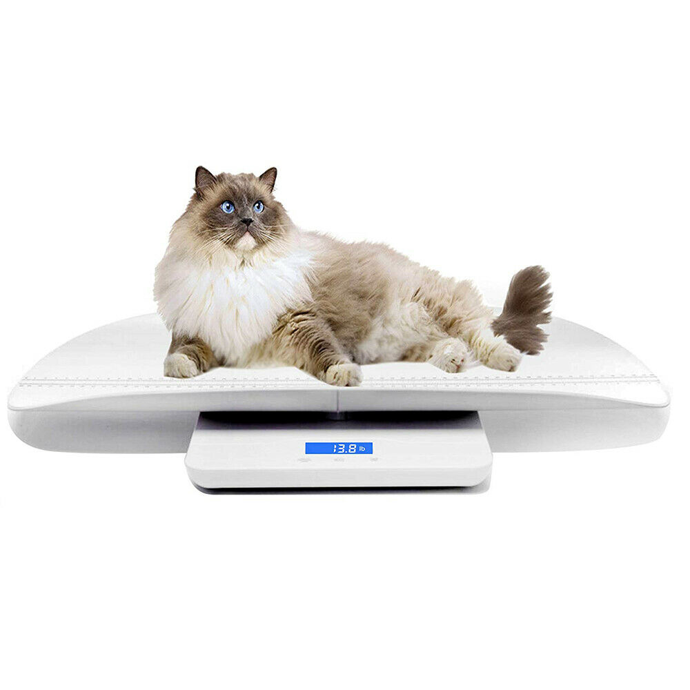 Digital Baby Scale Infant Pet Dog Small Animal Kittens Weighing Scales 220lbs Us