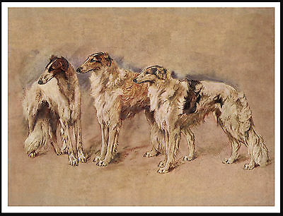 Borzoi Group Of Dogs Vintage Style Image Dog Art Print Poster